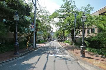 敷地東側の前面道路