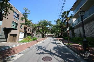 敷地東側の前面道路