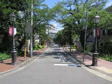 前面道路は、おしゃれな並木通りになっております。
