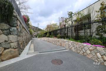 敷地西側の前面道路