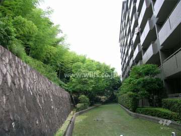 敷地の東側には竹林が広がっています。