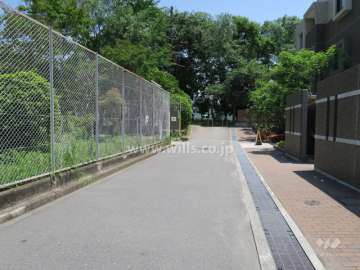 敷地北側の前面道路