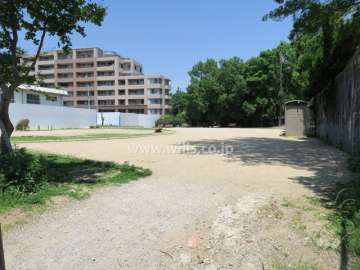 敷地の向かい側に公園があります。
