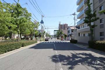 敷地東側の前面道路
