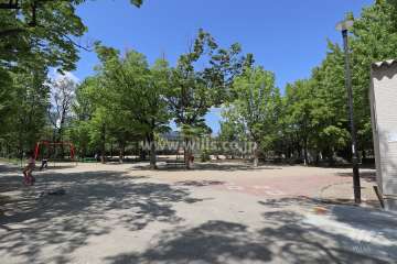 西灘公園グラウンド