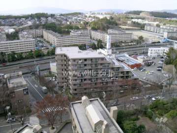 街路樹のきれいな通りに面し、敷地西側には新御堂筋が走っています。