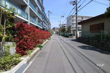 敷地東側前面道路（南側から）
