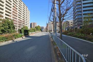敷地北側の前面道路