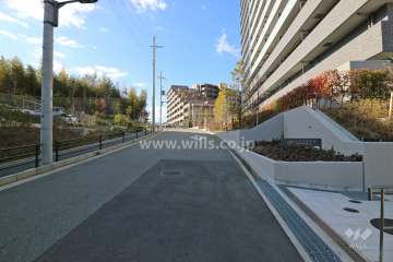 敷地南側の前面道路