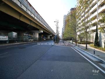 敷地東側の前面道路（北側から）