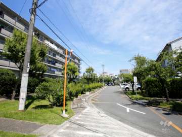 61棟の南側の緑地と敷地内駐車場