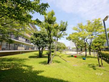 65棟南側の緑地