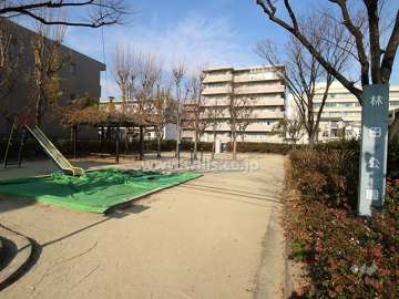 敷地北側にある林田公園