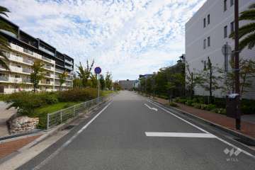 敷地北側の前面道路