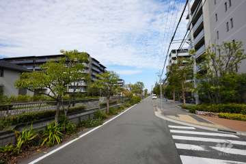 敷地西側の前面道路