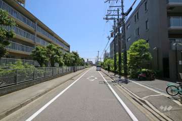 敷地北側の前面道路（西側から）