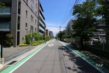 敷地東側の前面道路（南側から）