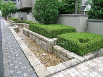 敷地の横を流れる小川
