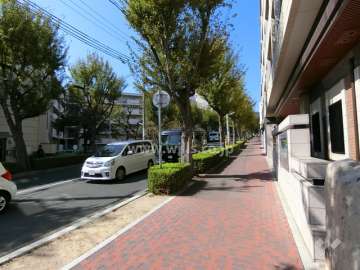 敷地南側の前面道路