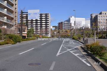 敷地の東側前面道路