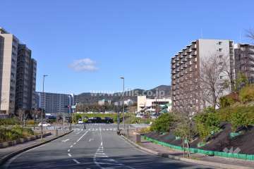 敷地の南側前面道路