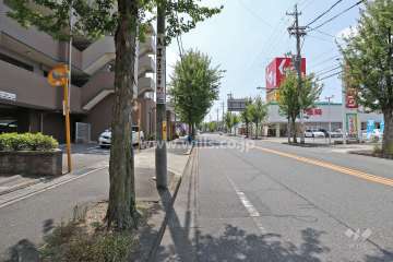 敷地北側の前面道路（東側から）