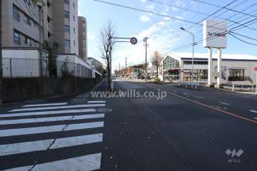 敷地北側前面道路