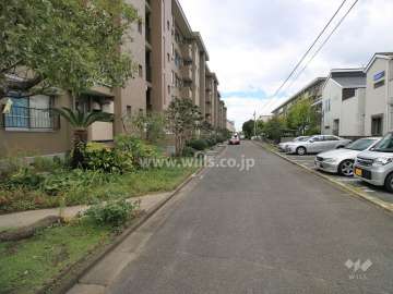 敷地北側の前面道路