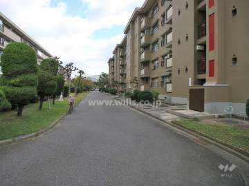 敷地の北側の前面道路