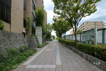 敷地北側の前面道路