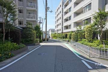 敷地東側の前面道路（北側から）