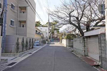 敷地北側の前面道路（東側から）