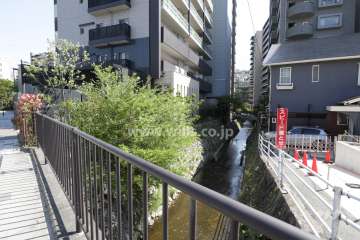 敷地西側を一後川が流れています。