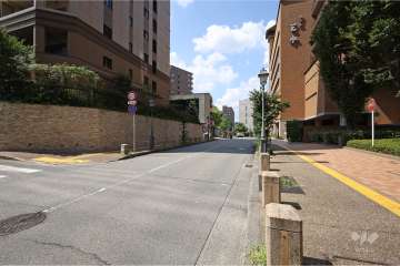 敷地北東側の前面道路（観光プロムナード）