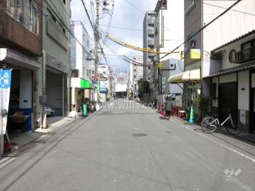 敷地の東側道路（南側から）