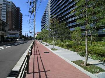 敷地南側の遊歩道（シーズンズプロムナード・有効空地）