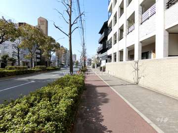 敷地南側は山手幹線に面しています。