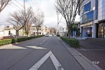 敷地北側の前面道路（西側から）