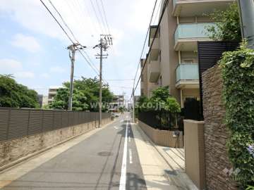 敷地西側の前面道路（南側から）