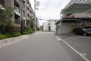 敷地南側の前面道路（西側から）