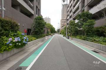 敷地東側の前面道路（南側から）