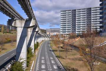 敷地の西側前面道路
