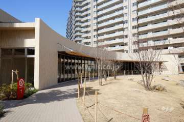 ミリカ タニタ食堂