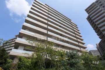 ミリカ・テラス1街区の外観(南西側から)