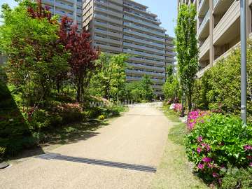 ミリカ・ヒルズ2街区南側の通路