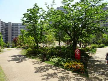 Ｅ棟の南側にある敷地内の公園