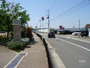 敷地北側の前面道路（東側から）