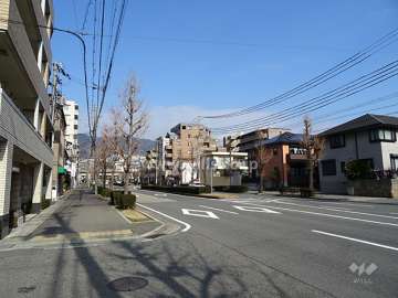 敷地東側の前面道路。都市計画道路弓場線です。