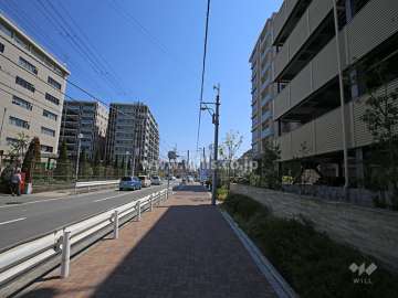 敷地北側の前面道路。敷地の道路側には植栽スペースが設けられています。