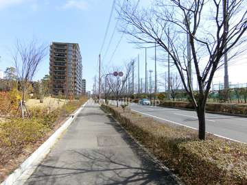 敷地西側の前面道路